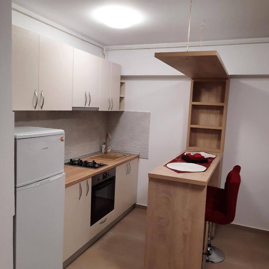 Studio Adela Apartment Iasi Ngoại thất bức ảnh