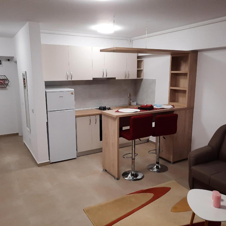Studio Adela Apartment Iasi Ngoại thất bức ảnh