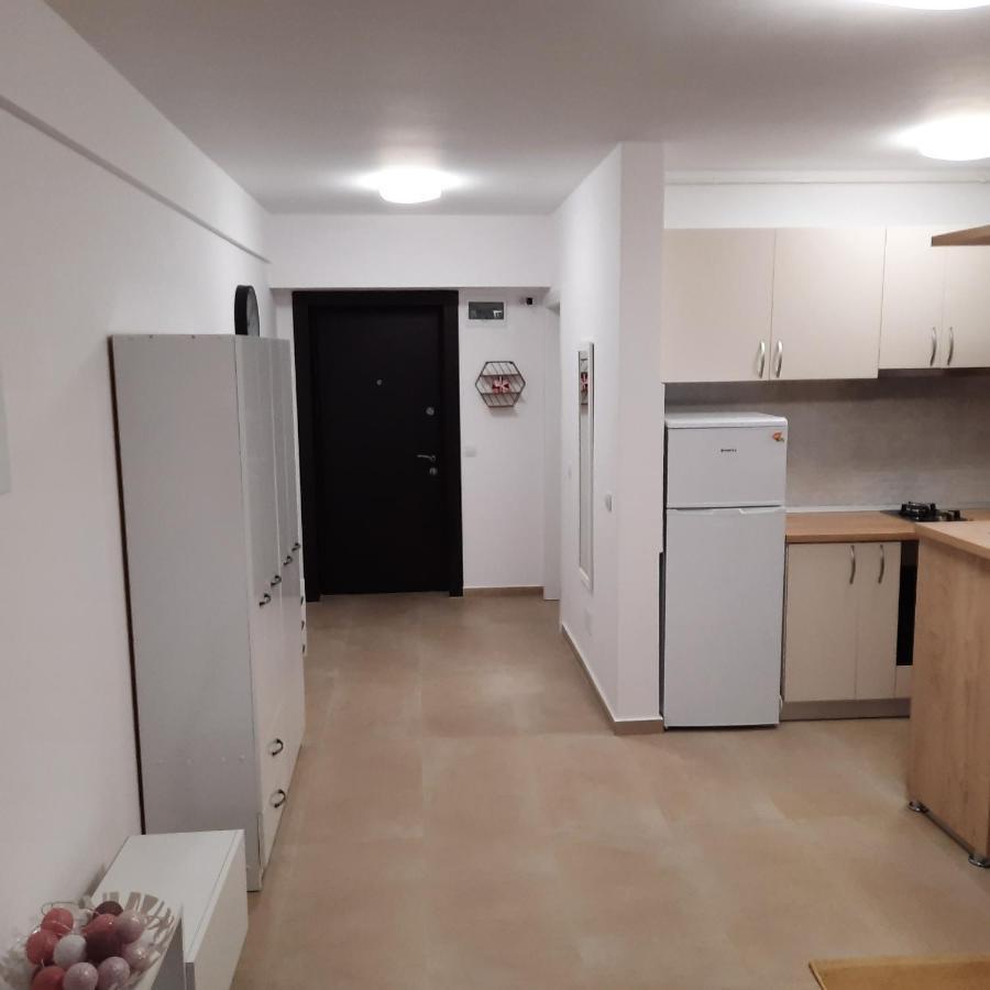 Studio Adela Apartment Iasi Ngoại thất bức ảnh