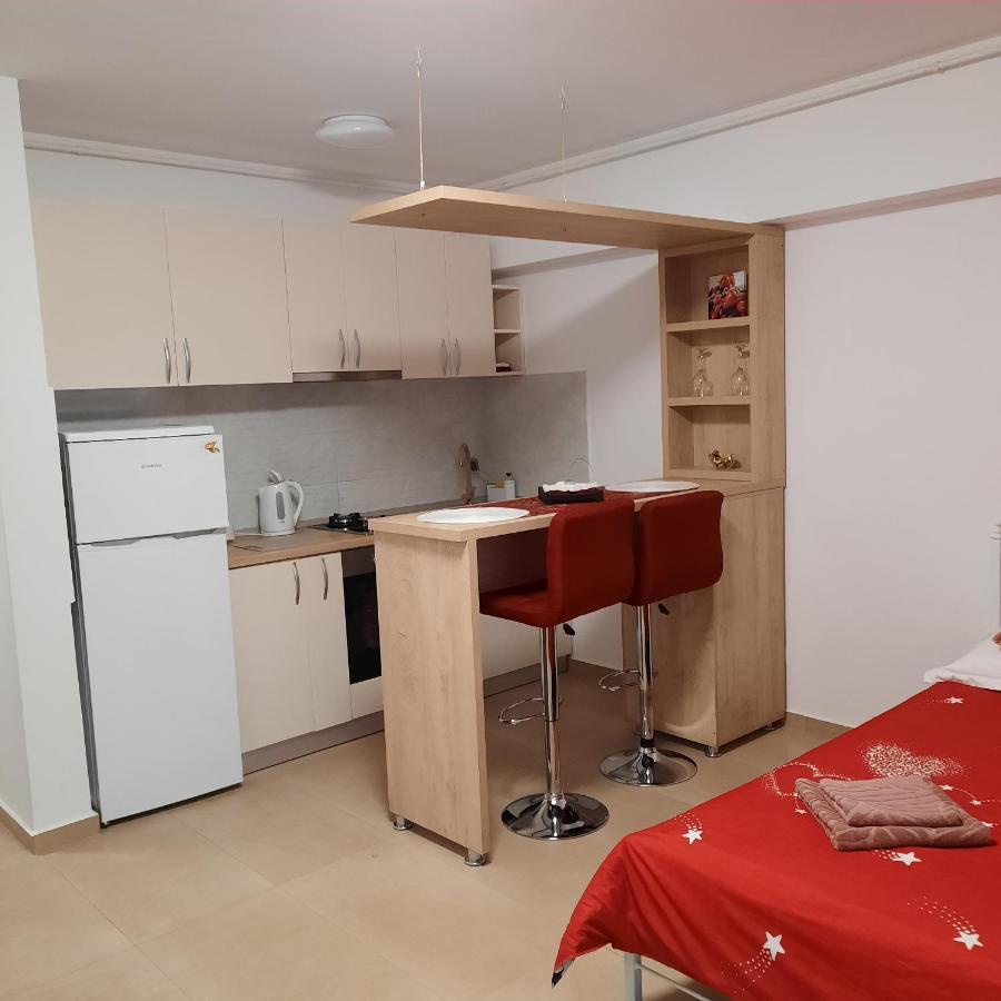 Studio Adela Apartment Iasi Ngoại thất bức ảnh